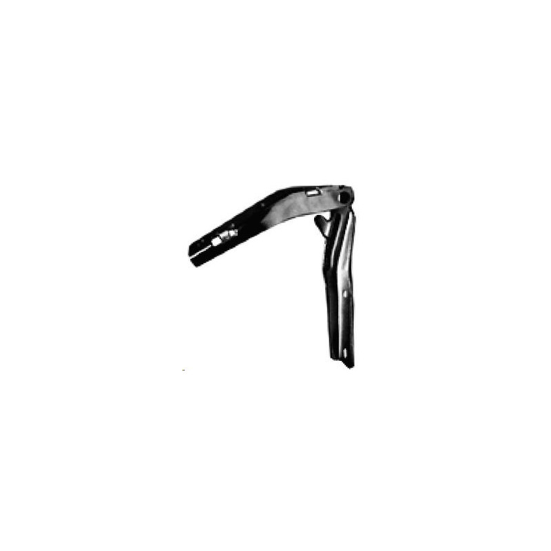CERNIERA COFANO ANTERIORE SINISTRA PEUGEOT 206 2A2C2D2E2K 19982009