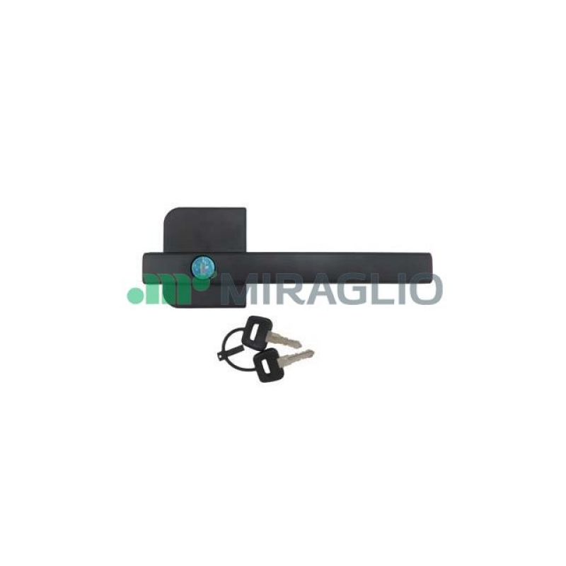 MANIGLIA ESTERNA ANTERIORE DESTRO DAF XF 95 19972002