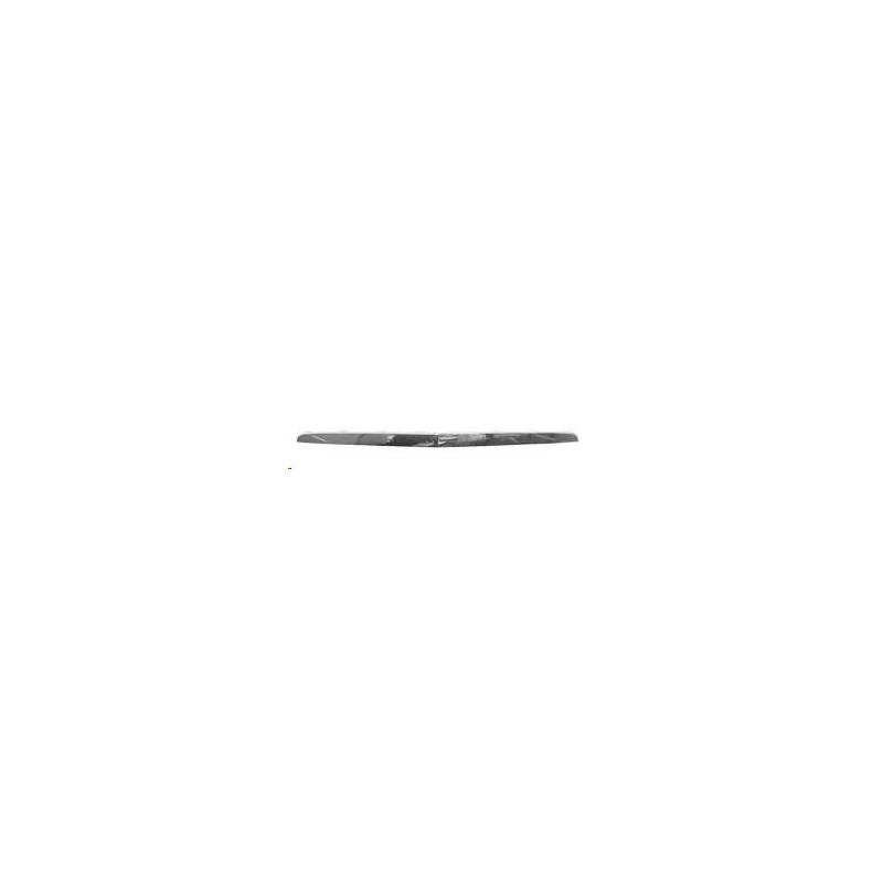 MODANATURA COFANO ANTERIORE 5 PORTE CHEVROLET LACETTI 2003          , DAEWOO NUBIRA J200 20032005      , CHEVROLET NUBIRA 2005