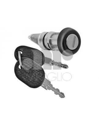 BLOCCHETTI E BOCCOLE BOCCOLA CON BLOCCHETTO ANTERIOREPOSTERIORE DESTRO FIAT DUCATO II 230 19942002