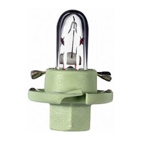 PLASTIC SOCKET LAMPS 12V 2W STANDARD