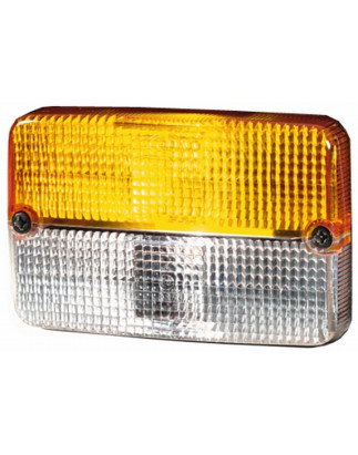 LENTE LUCE POSTERIORE