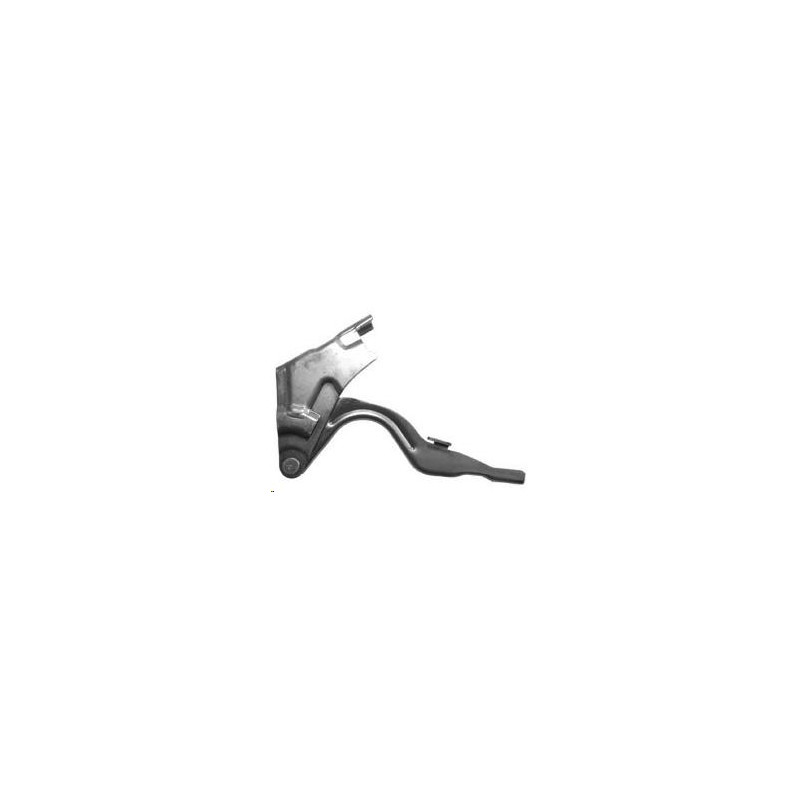 CERNIERA COFANO ANTERIORE DESTRA T�V HYUNDAI SANTA FE CM 20052009      , HYUNDAI SANTA FE CM 20092012