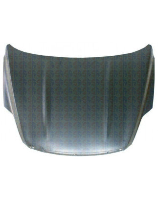 COFANO ANTERIORE FORD KUGA DM2 20082013