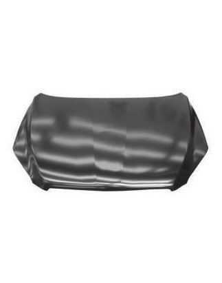 COFANO ANTERIORE TOYOTA RAV 4 A3 20052010