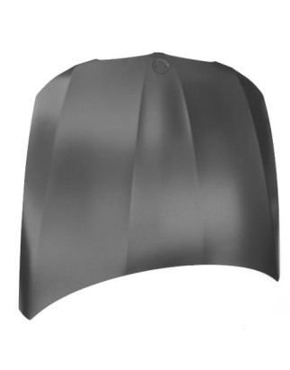 COFANO ANTERIORE BMW SERIES 3 SDNSW E90E91 20082012