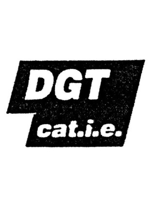 SCRITTA LATERALE DGT CATIE FIAT TIPO