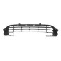 GRIGLIA PARAURTI ANTERIORE CITROEN C3 FCFN 20022010       VERS 2005
