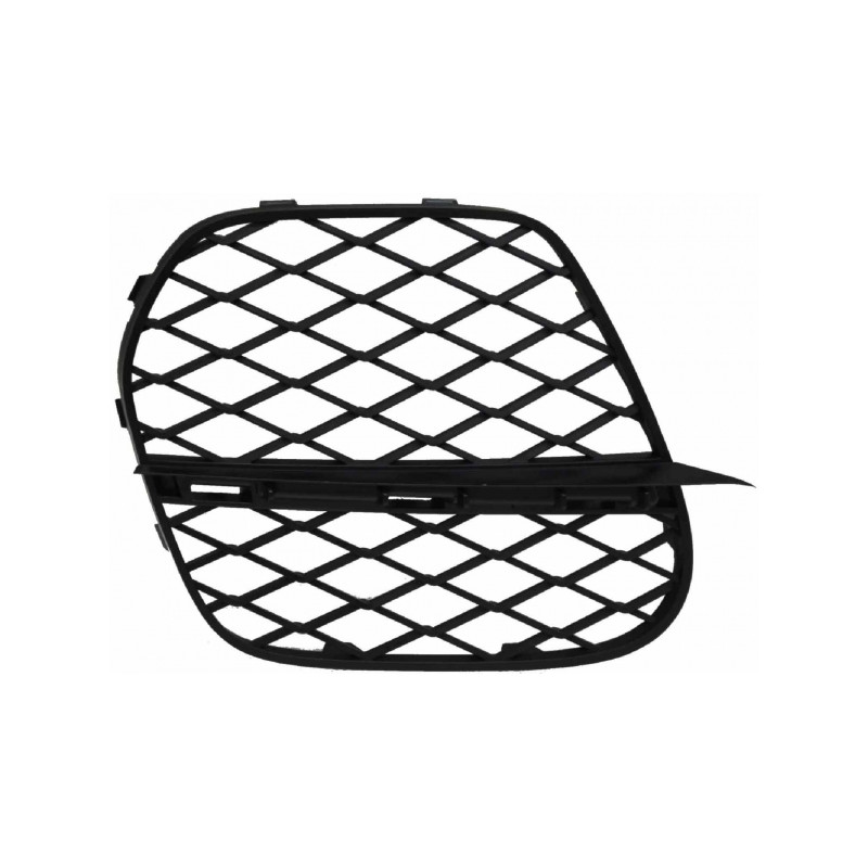 GRIGLIA PARAURTI ANTERIORE SINISTRA APERTA BMW X5 E70 20072010       VERS 042010 , BMW X5 E70 20102013