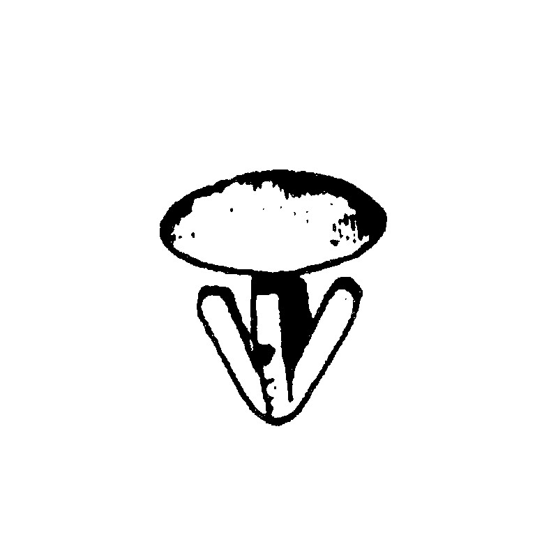 BOTTONI BIANCHI PER FISSAGGIO TARGA AL PORTATARGA