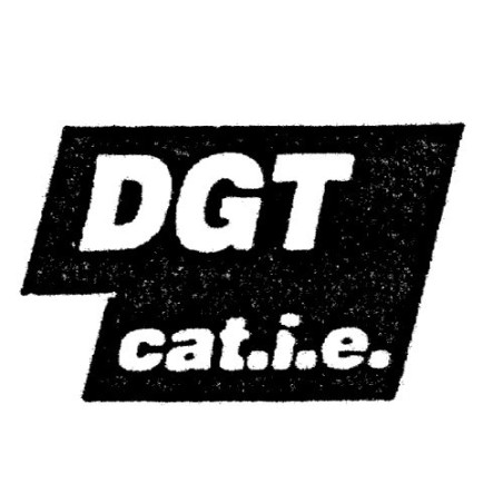 SCRITTA LATERALE DGT CATIE FIAT TIPO