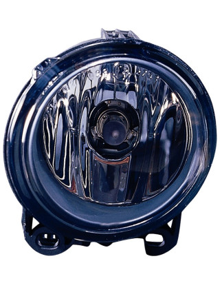 FENDINEBBIA SINISTRO BMW X5 E53 20002007VERS 2002