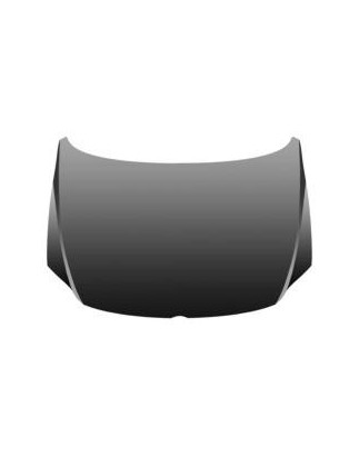 COFANO ANTERIORE VOLKSWAGEN FOX 5Z15Z35Z45Z5 20052011