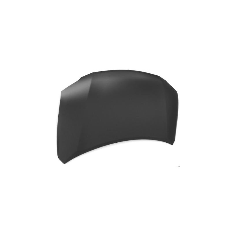 COFANO ANTERIORE TÜV LEXUS RX L2 20152020, LEXUS RX L1 2009201  LEXUS RX L1 20122015