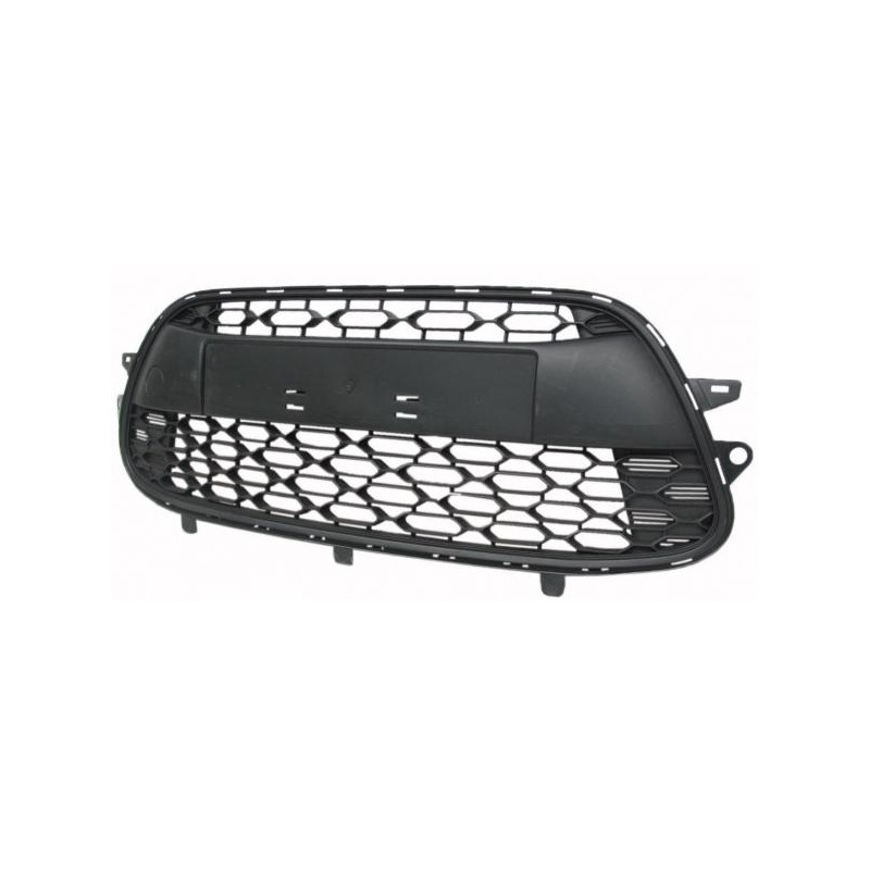 GRIGLIA PARAURTI ANTERIORE CITROEN C3 SC 20102013