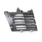 GRIGLIA PARAURTI ANTERIORE DESTRA PORSCHE CAYENNE 9PA 20032010       VERS 2007