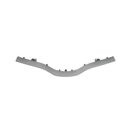 MODANATURA GRIGLIA SILVER RENAULT KANGOO KW0KW1 20132021