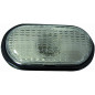 FANALE LATERALE DESTROSINISTRO SENZA PORTALAMPADA FUME DACIA DOKKER KE 201  DACIA DUSTER I HS 20102017, DACIA LODGY JS 2012202 