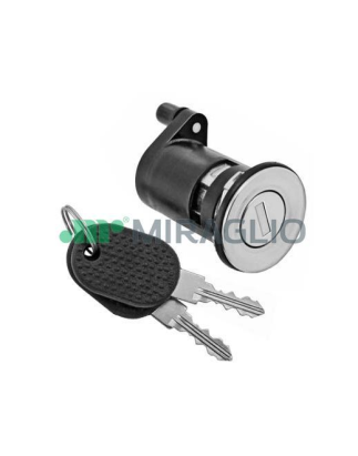 MANIGLIA ESTERNA BOCCOLA ANTERIORE SINISTRO CON CHIAVE FIAT DUCATO II 244 20022006