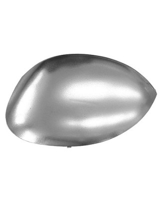 CALOTTA SINISTRA CROMATA CITROEN C3 FCFN 20022010      , CITROEN XSARA N1N0N2 20002004      , CITROEN XSARA PICASSO N68 1999200