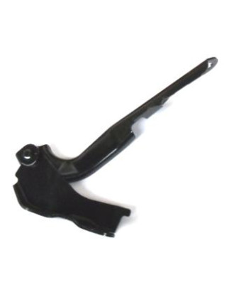 CERNIERA COFANO ANTERIORE DESTRA TÜV TOYOTA RAV 4 XA20 20002005