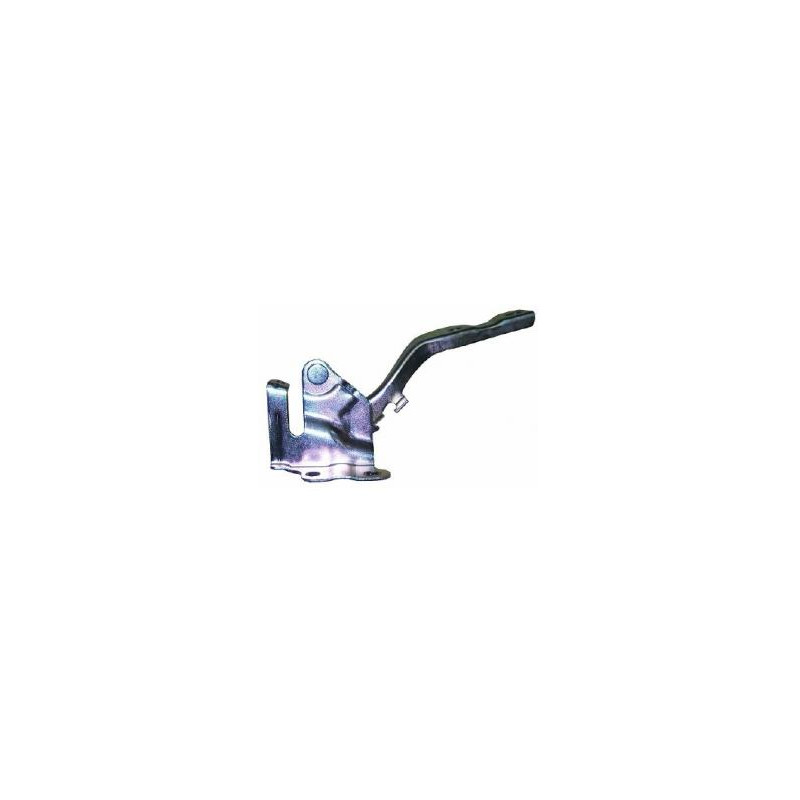 CERNIERA COFANO ANTERIORE DESTRA HYUNDAI i10 I PA 20072010, HYUNDAI i10 I PA 20102013