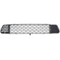 GRIGLIA PARAURTI ANTERIORE INFERIORE CITROEN C4 PICASSOGRAND PICASSO UDUA 20072014       VERS 032013