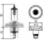 R2HR2 12V 6055W STANDARD