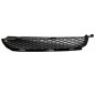 GRIGLIA PARAURTI ANTERIORE SUPERIORE SINISTRA BMW X5 E53 20002007       VERS 2004