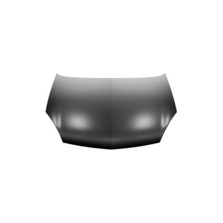COFANO ANTERIORE TÜV RENAULT CLIO IICAMPUSTHALIA BBCB 20012006