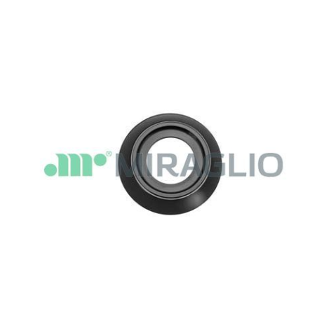 MANIGLIA INTERNA GHIERA IN PLASTICA NERO ANTERIORE DESTROSINISTRO FIAT 126 126 19721979      , FIAT 500 F  L  R 19651975      ,