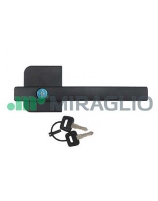 MANIGLIA ESTERNA ANTERIORE SINISTRO DAF XF 95 19972002