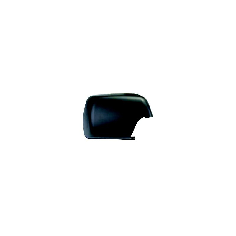 CALOTTA DESTRA  CON PRIMER BMW X5 E53 05-2 1981