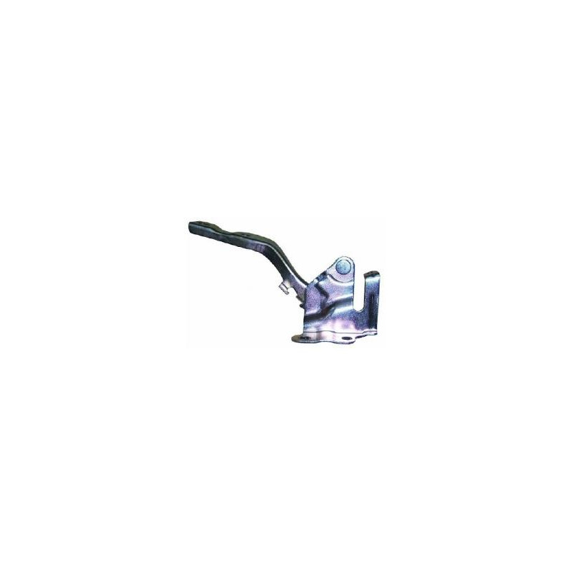 CERNIERA COFANO ANTERIORE SINISTRA TÜV HYUNDAI i10 I PA 20072010, HYUNDAI i10 I PA 20102013