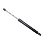 MOLLA A GAS COFANO POSTERIORE 557mm 450N AUDI A3 3DSPORTBACK 8V18VK8VA8VF 20122016      , AUDI A3 3DSPORTBACK 8V18VK8VA8VF 2016