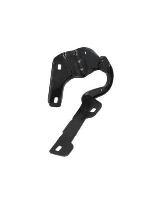 CERNIERA COFANO ANTERIORE DESTRA RENAULT CLIO III BR0 1CR0 1 20062009      , RENAULT CLIO III BR0 1CR0 1 20092013