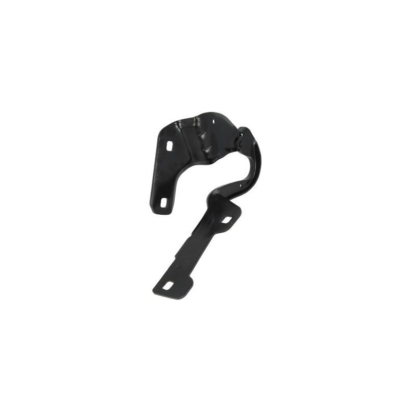 CERNIERA COFANO ANTERIORE DESTRA RENAULT CLIO III BR0 1CR0 1 20062009      , RENAULT CLIO III BR0 1CR0 1 20092013