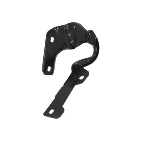 CERNIERA COFANO ANTERIORE DESTRA RENAULT CLIO III BR0 1CR0 1 20062009      , RENAULT CLIO III BR0 1CR0 1 20092013