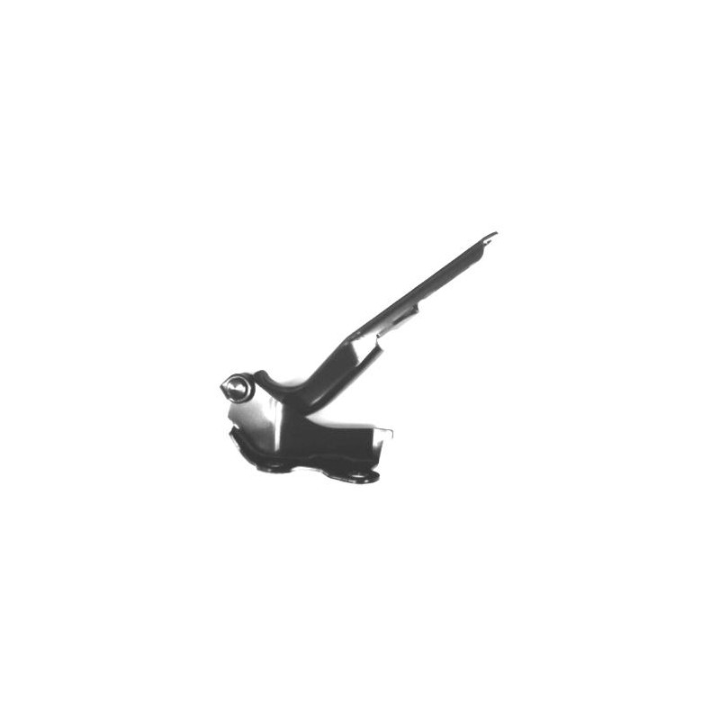 CERNIERA COFANO ANTERIORE DESTRA TÜV TOYOTA LAND CRUISER PRADO 120 J12 20022011