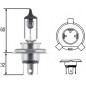 LAMPADA H4 6055W 12V ATTACCO P43T-38