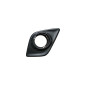 GRIGLIA PARAURTI ANTERIORE DESTRA CON FENDINEBBIA TOYOTA HI-LUX 2WD4WD N1 20152020, TOYOTA HI-LUX 2WD4WD 2020