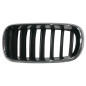 GRIGLIA RADIATORE SINISTRA CROMATA-NERA BMW X5 F15 20132018, BMW X6 F16 20142019