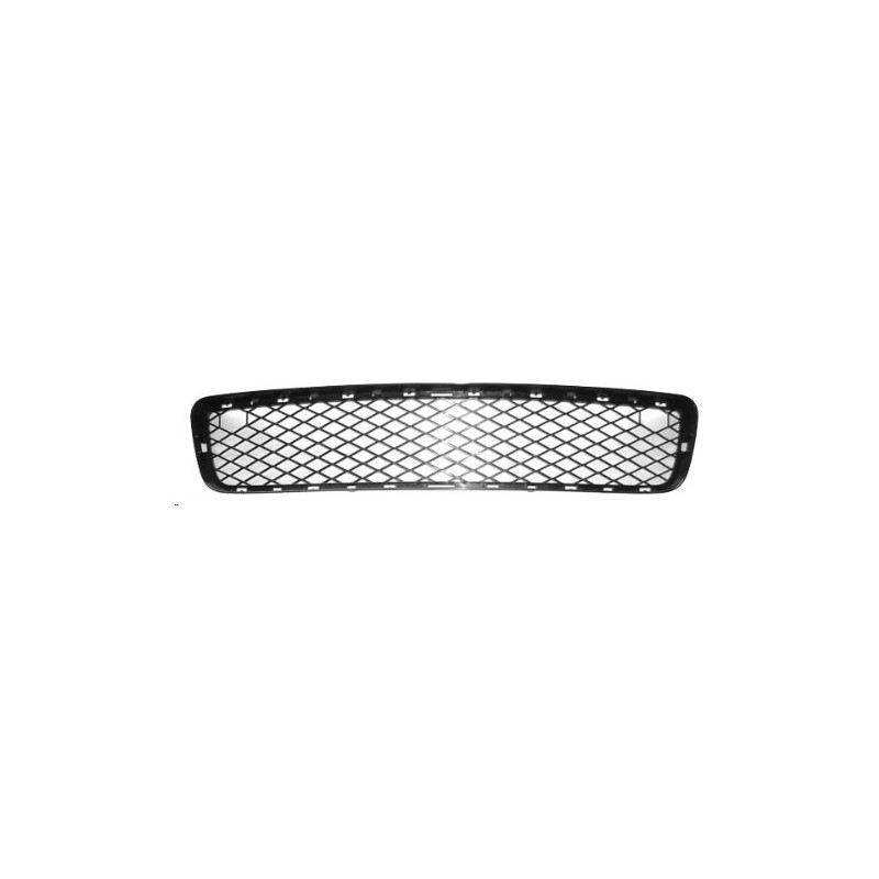 GRIGLIA PARAURTI ANTERIORE INFERIORE BMW X5 E70 20072010, BMW X5 E70 20102013