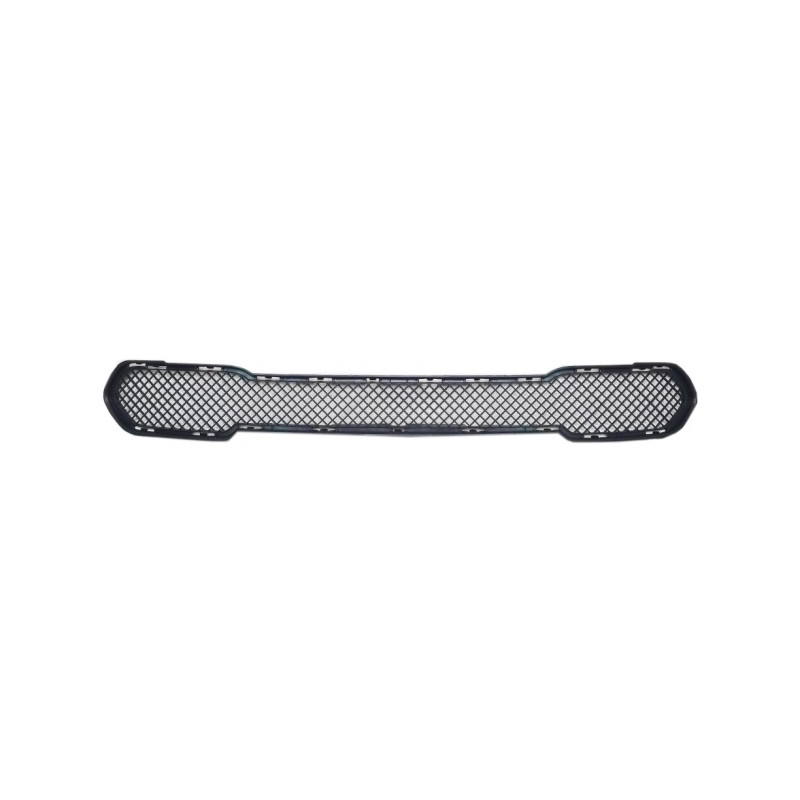 GRIGLIA PARAURTI ANTERIORE CENTRALE BMW X1 E84 20092013