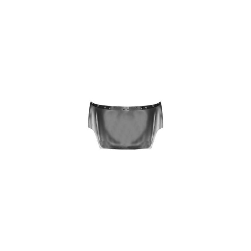 COFANO ANTERIORE FIAT GRANDE PUNTO 199 2005201  FIAT PUNTO 199 201  FIAT PUNTO EVO 199 20092012