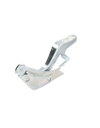 CERNIERA COFANO ANTERIORE DESTRA KIA SPORTAGE SL 20102014, KIA SPORTAGE SL 20142015