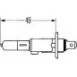 LAMPADINA H1-1 FILAM. 24/70 HD
