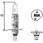 LAMPADINA H1+50% 12V,55W