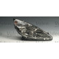 PR PEUGEOT 607 2000/05 DX LHD