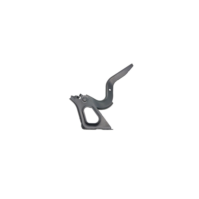 CERNIERA COFANO ANT DX TOYOTA RAV 4 (XA50/A5/H5) 2019  OEM 5341042140